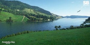 Anakoha Bay Airstrip (NZ98) thumbnail 9