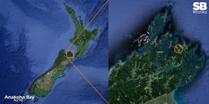 Anakoha Bay Airstrip (NZ98) thumbnail 10