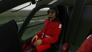 H135 - DRF Pack Version 2.0 thumbnail 12
