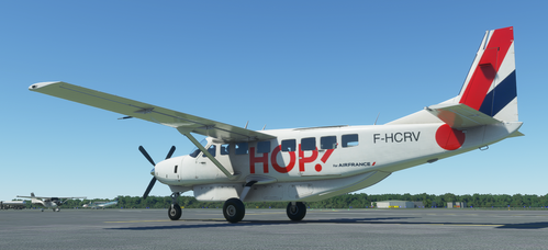 Cessna 208B Grand Caravan Air France Hop [4K Fictional]
