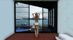 Miami "Star island" Home Scene thumbnail 1