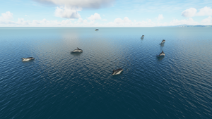 NZKI - Kaikoura Airport (Custom-made scenery) thumbnail 13