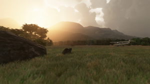 Yendegaia Airfield - SCNY - Patagonia thumbnail 16