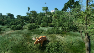 Observatoire du Mont Mégantic thumbnail 3