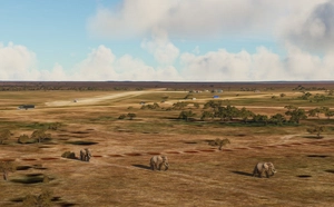 Seronera Airstrip, Serengeti, Tanzania thumbnail 4