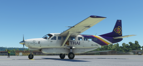 Cessna 208B Grand Caravan Thai Airways [4K Fictional]