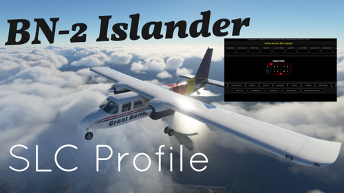 Britten-Norman BN-2 Islander Self-Loading Cargo Cabinlayout