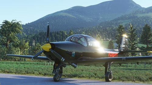ATSimulations Piaggio P149D D-EOBU