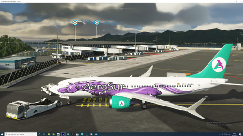737 MAX "POTRO"