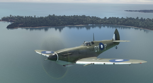 Supermarine Spitfire Mk.IX No 452 Sqn RAAF QY-P "Betsy"