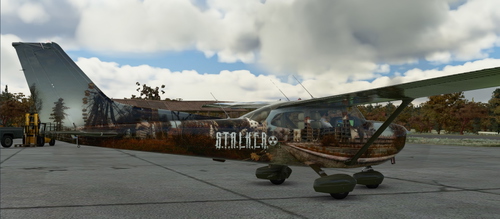 Cessna 172 S.T.A.L.K.E.R.