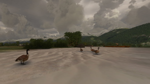 Yendegaia Airfield - SCNY - Patagonia thumbnail 9