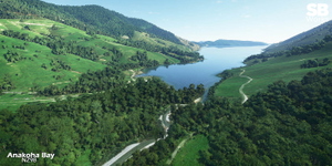 Anakoha Bay Airstrip (NZ98) thumbnail 6