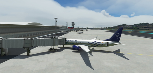 737 Max 8 Air Europa SkyTeam