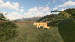 Yendegaia Airfield - SCNY - Patagonia thumbnail 4