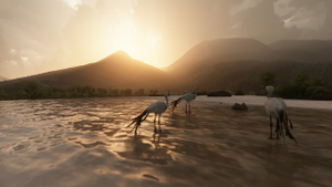 Yendegaia Airfield - SCNY - Patagonia thumbnail 18