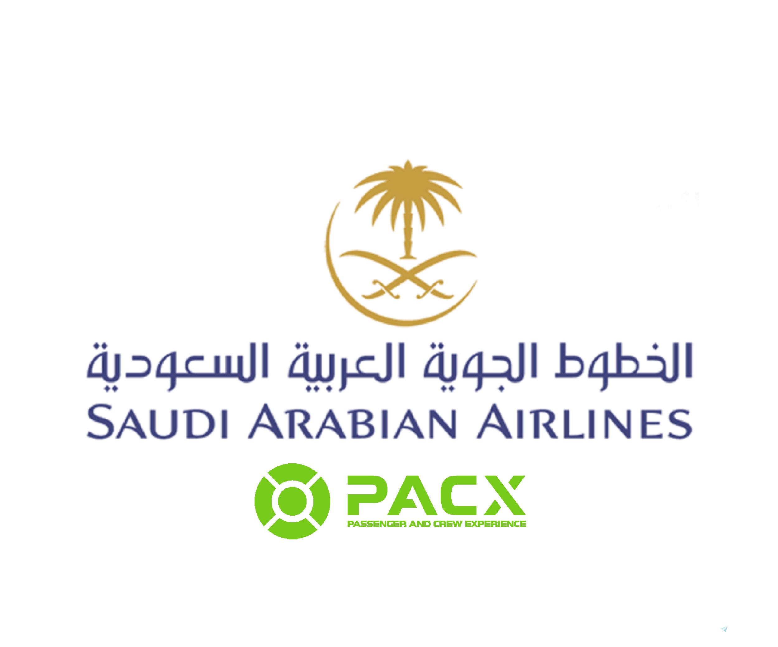 Saudi Air Lines Logo Vector - (.Ai .PNG .SVG .EPS Free Download)