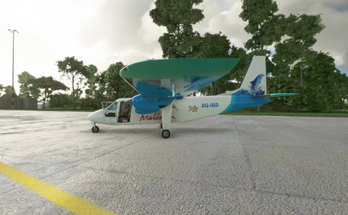 Maldivian airline