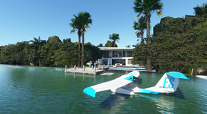 Miami "Star island" Home Scene thumbnail 3