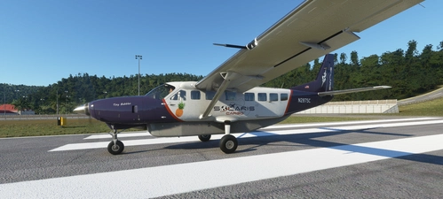 Cessna 208B Grand Caravan Solaris "Tiny Bubbles" 8K