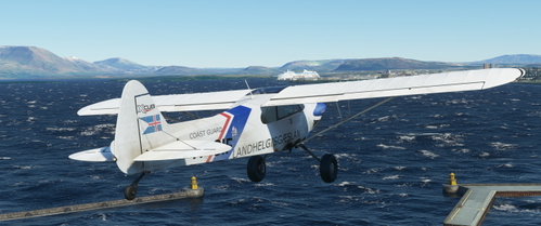 XCub - weathered/dirty/washed out - Icelandic Coast Guard TF-SIF - Iceland - fictional