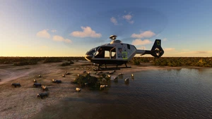 HPG H135 Helicopter Project thumbnail 4