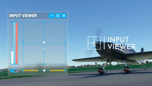 Input Viewer