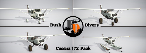BushDivers.com - Cessna 172 Variants Livery