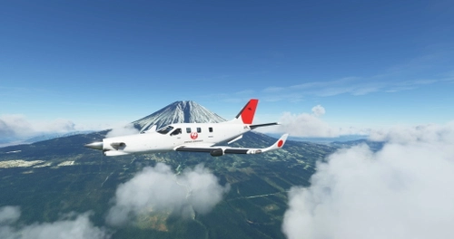 TBM JAL Livery