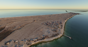 Culatra Island (Portugal) thumbnail 4
