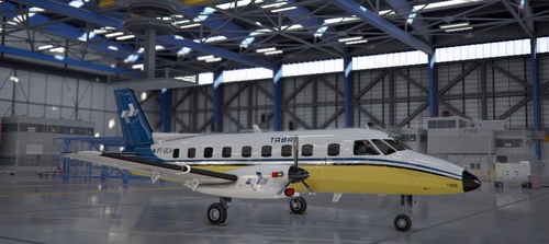 NextGen Simulations EMB-110P1 TABA (PT-OCV)