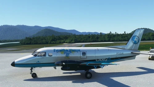 NextGen EMB110P1Freight- EveryAir ( 4K )