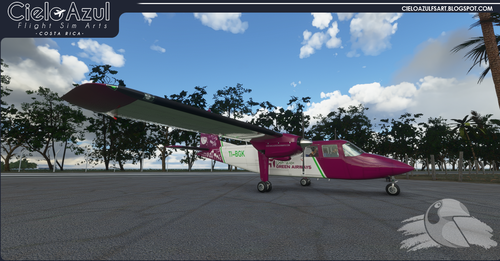 Costa Rica Green Airways | TI-BGK | Blackbox Britten Norman BN2 Islander (4K)