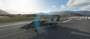 F-14 Tomcat thumbnail 2