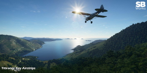 Titirangi Bay Airstrips (NZ97) thumbnail 9