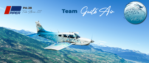  JustFlight Piper Arrow III Turbo | Team Guilb'Air