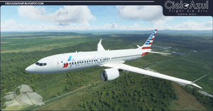 American Airlines | N324RA | Bredok3D 737M8 (7.5K) thumbnail 4