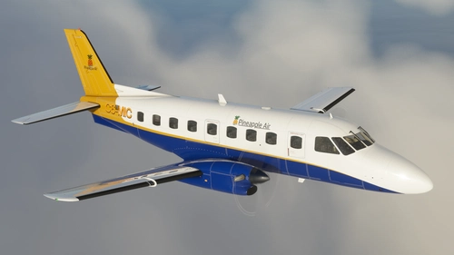 nextgensim-aircraft-bandeirante-Pineapple Air