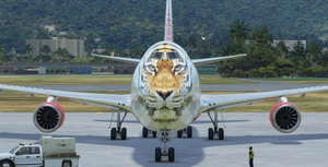 Boeing 747-8 Rossiya Tigrolet (non-mirror) thumbnail 1