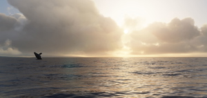 AZORES (PORTUGAL) IMPROVEMENTS -fix for ts LPLA and mk studios LPPD ( old file still available) thumbnail 5