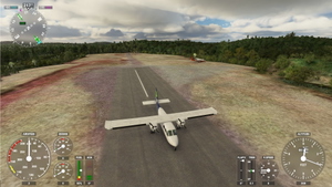 NZRC - Ryan's Creek Aerodrome - Rakiura - New Zealand thumbnail 2