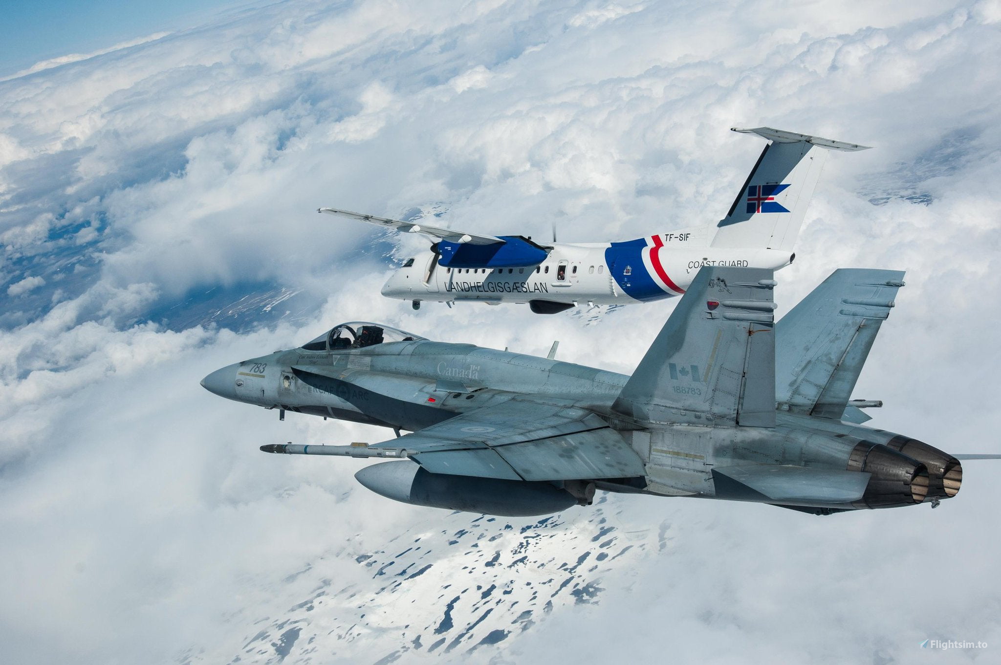 はに。 adidas ZX 8000 