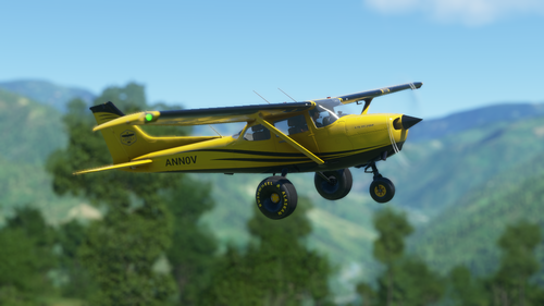 bagolu C172 Bush Kit Yellow Livery