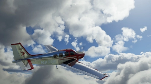 Bonanza G36 - Skyking
