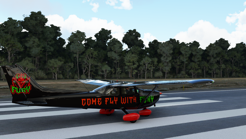 Fury C172 Livery