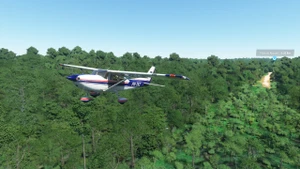 Fly in more than 160 Bush Strips at Amazonia Jungle / Voe por + de 160 Pistas de Garimpo thumbnail 12