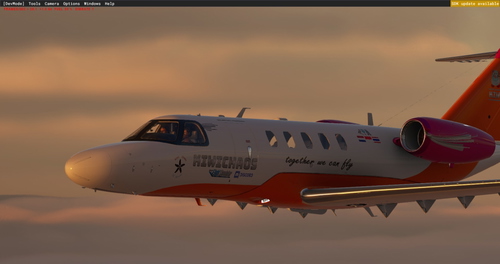Cessna Citation CJ4 Kiwichaos custom livery