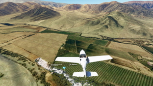 Nazca Lines thumbnail 5