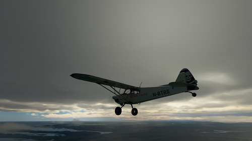 Xcub "Taildragger" - Berserk