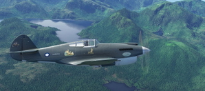 P-40B Tomahawk BigRadials Blue-Grey X168CO thumbnail 17